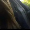 KENDRA - @kendradecker1 - TikTok