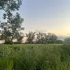 kendrandrews - @kendrandrews - TikTok