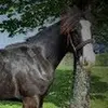 kendrafleming381 - @kendrafleming381 - TikTok