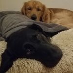 Kendra Fuller - @kendrafuller46 - Instagram