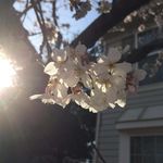 Kendra Baughn Giles - @kdenyceg - Instagram