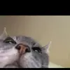 Kcat915 - @kendra.hawley - TikTok