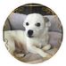 Kendra Vogelheim Head - Facebook