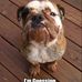 Kendra Helton - Facebook