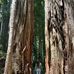 Kendra Huggins - Facebook