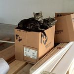 Kendra Kirkpatrick - @ms.moose_mr.monty - Instagram