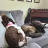 Kendra Kloeppel - @zoeyandizzyadventures - TikTok