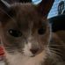 Kendri Koenig - Facebook