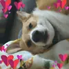 kendralambert62 - @kendralambert62 - TikTok