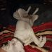 Kendra Lange - Facebook