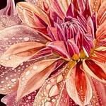 Kendra Lightfoot Watercolours - @kendralightfootwatercolours - Instagram