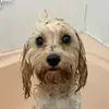 kendra lynch - @kendra.privatee - TikTok