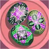 KENDRA MACLEAN - @kendra.maclean3 - TikTok