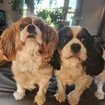 Kendra Oestreich Morrow - @oestreichmorrow - Instagram