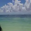 Kendra O'Dell - @kendrao'dell - TikTok