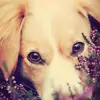 Kendra Phelps - @phelpsblushy - TikTok
