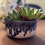 Kendra Potts - @kenkceramics - Instagram