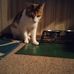 Kendra Powers - Facebook