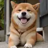 kendrapowers785 - @kendrapowers785 - TikTok
