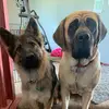 Kendra Rock - @kendra.rock4 - TikTok