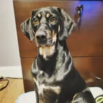 kendra - @kendralsellers - Instagram