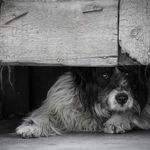 kendra sparks - @sparks7858bg - Instagram