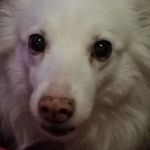 Kendra Standley McPherson - @kendra.s.mcpherson - Instagram