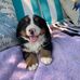 Kendra Stanton - Facebook