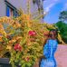 Kendra Stephen - Facebook