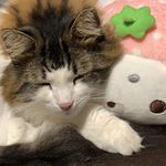 Kendra Strong - @kendurthewindling - Instagram