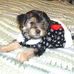 Kendra Tucker - Facebook