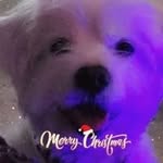 Kendra Vogel Conrad - @kendraconrad57 - Instagram