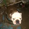 kendrawalters36 - @kendrawalters36 - TikTok