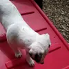 kendrawarner480 - @kendrawarner480 - TikTok