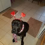 Kendra West - @kendrawest478 - Instagram