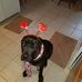 Kendra West - Facebook