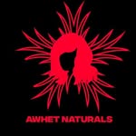 Amanda Kendrick Whetsell - @awhetnaturals - Instagram