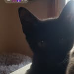 Kendrick Baker - @kendrickbaker774 - Instagram