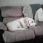 kendrick ball - @ball.kendrick - Instagram