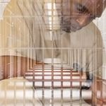 Kendrick Gray - @kendrickdgray45 - Instagram
