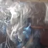 kendricklovesbbws - @kendricklovesbbws - TikTok
