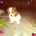 Kendrick Martin - @martin.kendrick - Instagram