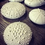Kendrick Norris - @phaksstrek - Instagram