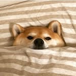 เอาไว้ติ่ง+บ่น+แกะของเก่งมาก - @p.v._.pp - Instagram
