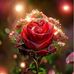 Kenia Arellano Torres - Facebook