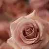 Kenia Bonilla - @keniabonilla049 - TikTok