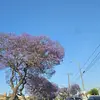 kenia lopez - @kenialopez0924 - TikTok