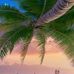 Keisha Lee - Facebook