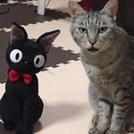 Kenji Ono - @kenkenkenkenkenji - Instagram