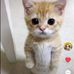 Kenley Davis - Facebook